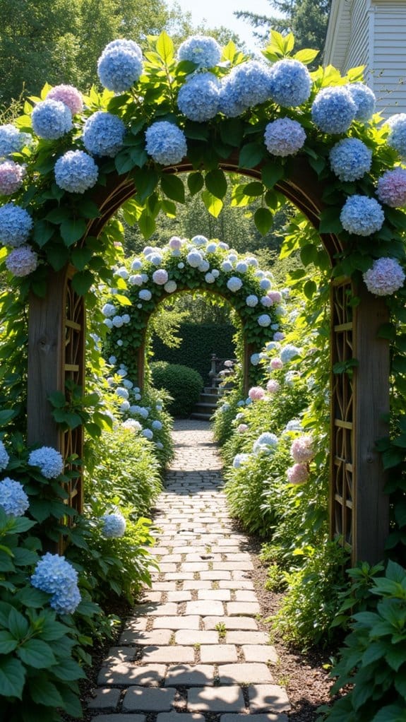 enchanting hydrangea garden pathway