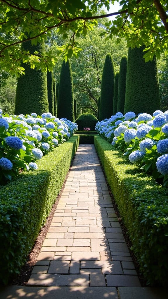 structured inviting boxwood pathways