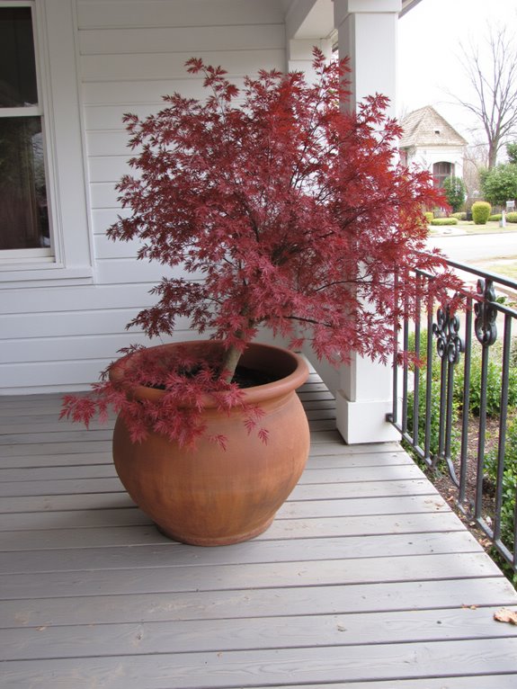 enchanting seasonal color changes