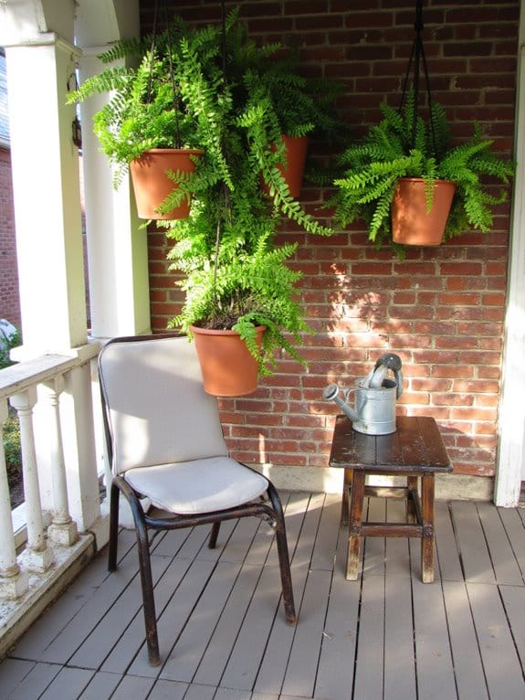 vertical gardens and decor