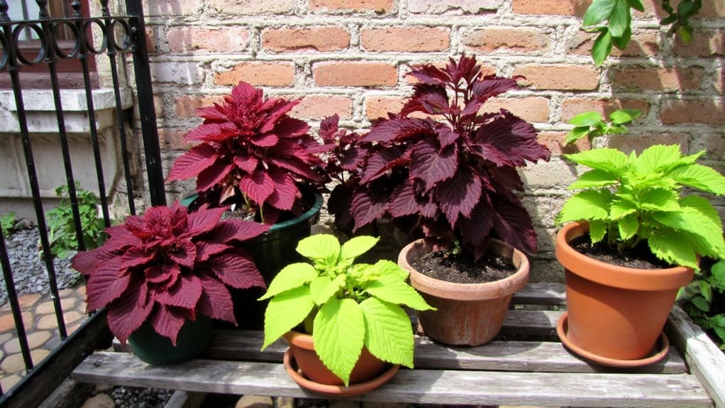 vibrant easy care foliage