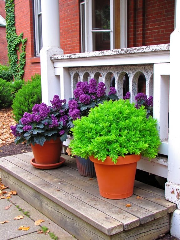 vibrant hardy autumn charm