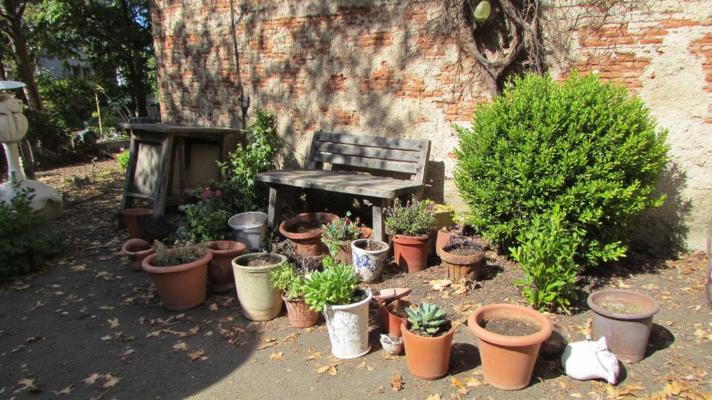 vintage pots enhance plant health