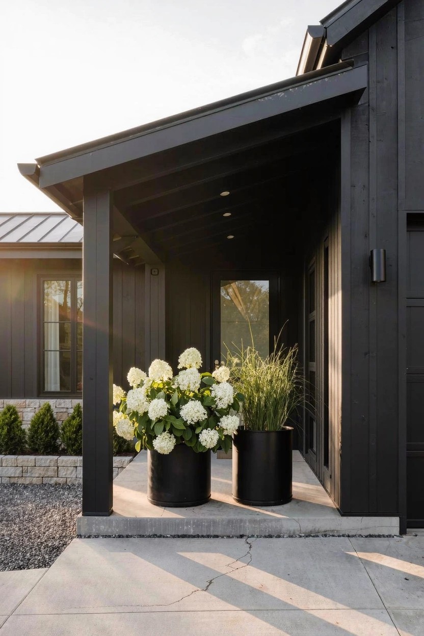Black house exterior with covered porch, two tall black pots of white hydrangeas and ornamental grass flanking a glass entry door, concrete steps, and nearby landscaping.