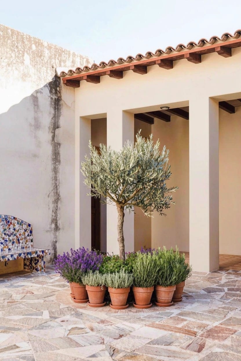 Potted Flower Bed Around a Tree Base