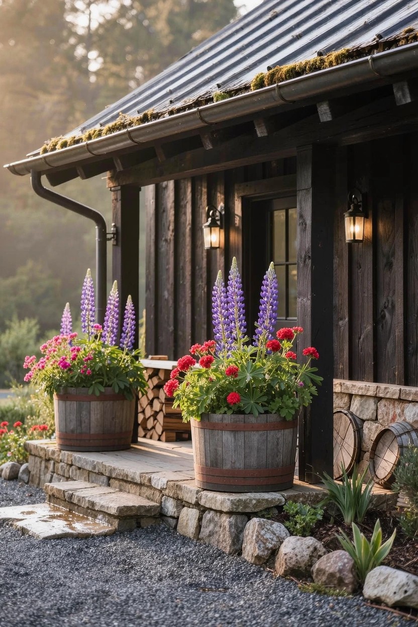 Rustic dark wood cabin entry with metal roof, two large wooden barrel planters filled with tall purple lupines and red geraniums, stone steps, wall lanterns, firewood stack, and gravel driveway.