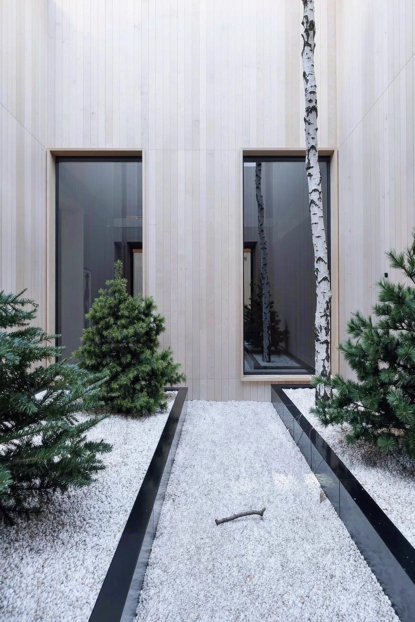 Modern light wood house facade with two large dark-framed windows, central white gravel pathway bordered by thin black edges, small evergreen trees in adjacent gravel beds, and a birch tree beside the right window.