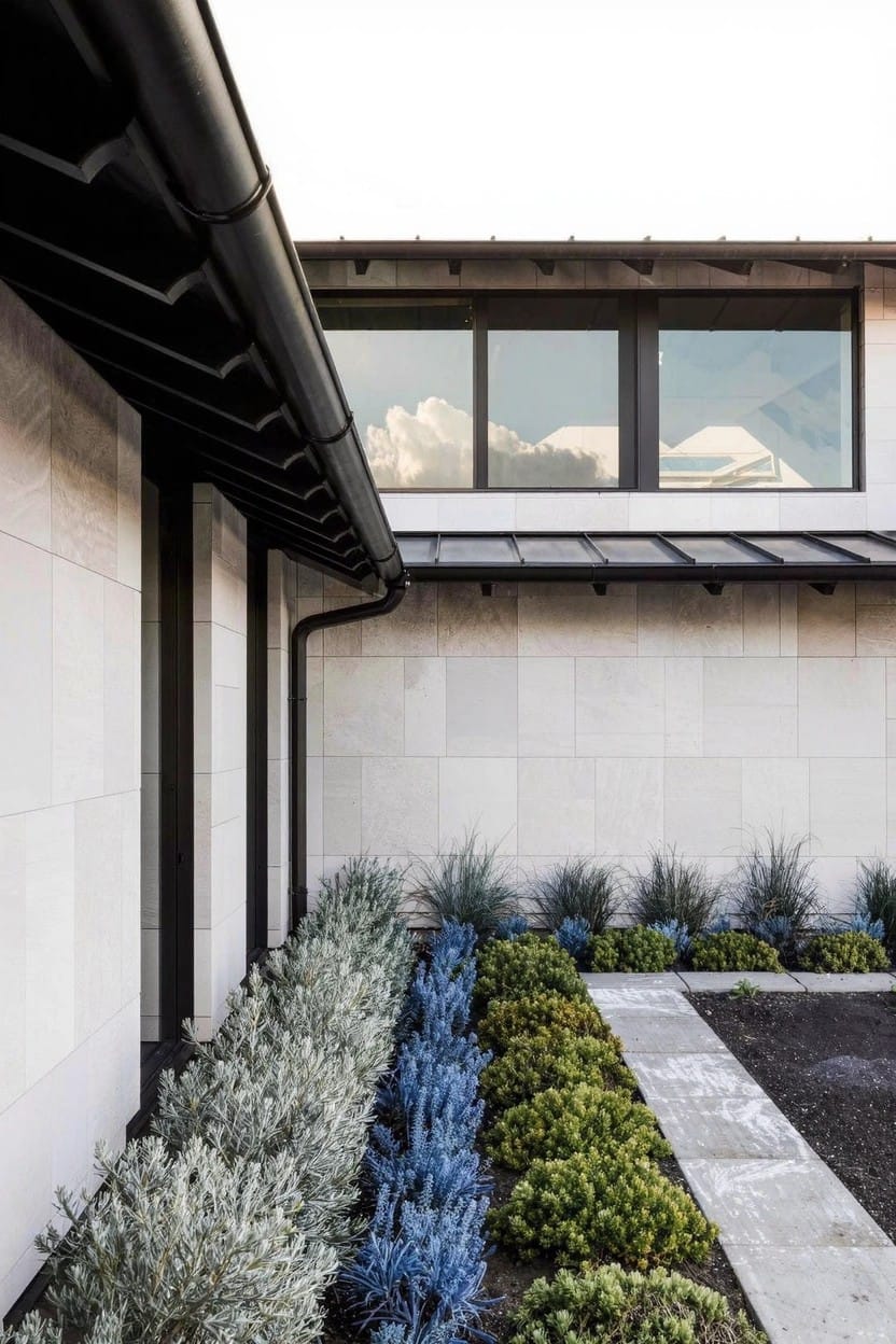 Modern house corner with white stone walls, black metal roof edge and window frames, and a linear planting bed of silver-leafed shrubs, blue lavender, and green bushes mulched in gravel.