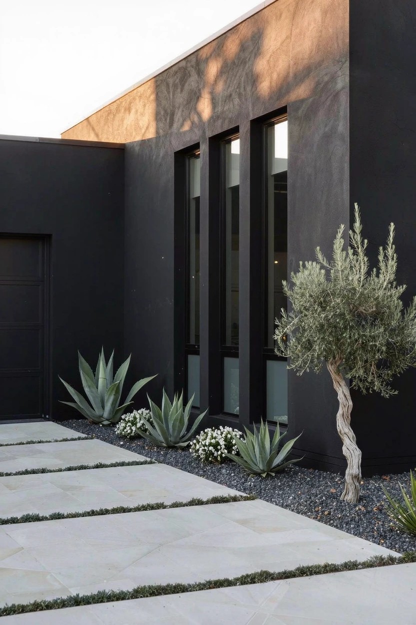 Modern dark exterior house wall with three vertical windows and garage door, concrete paver pathway bordered by gravel mulch planted with agave plants, white flowers, and a twisted olive tree.