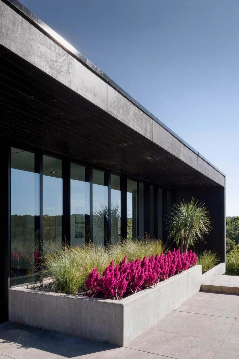 Gray stone wall of a modern building with dark stone patio, concrete bench adjacent to a rectangular garden bed containing silvery shrubs, succulents, grasses, and green plants.