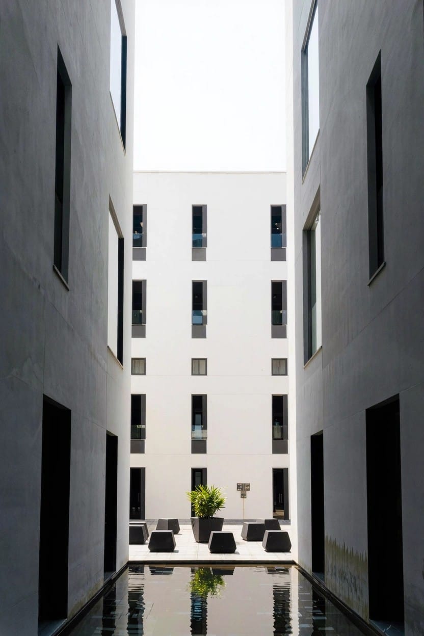 Potted Plants in Modern Courtyards