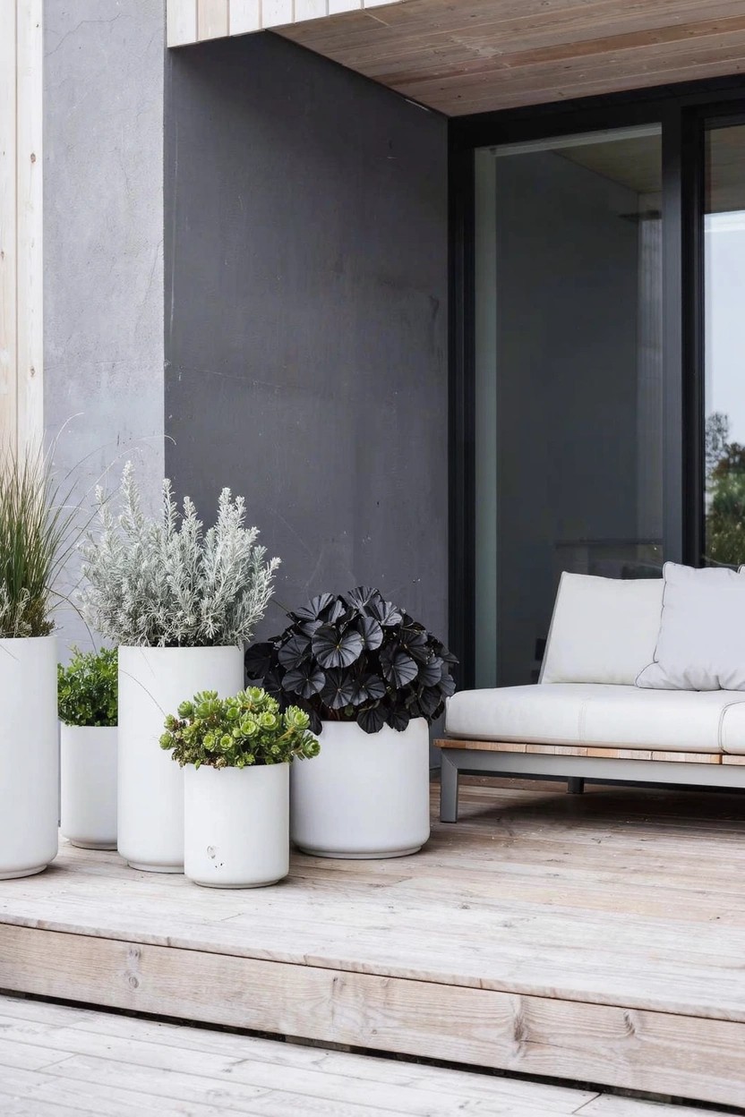 Wooden deck with several large white cylindrical pots holding grasses, silvery shrubs, green succulents, and dark foliage plants, next to a gray wall, black-framed sliding doors, and a white outdoor sofa.