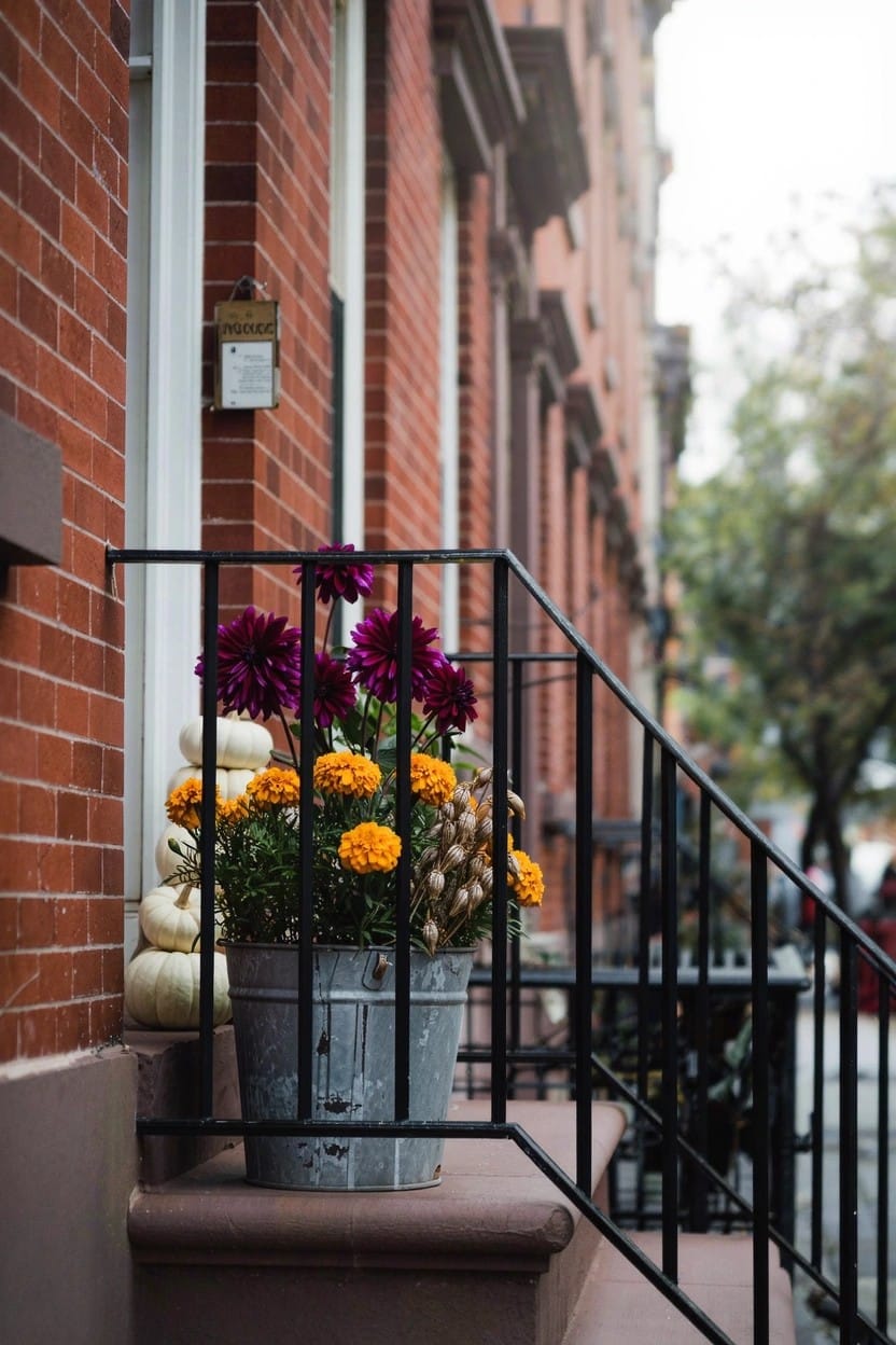 Galvanized metal bucket on brick stoop steps filled with orange marigolds, purple dahlias, and white pumpkins next to black metal railing on brick row house exterior.