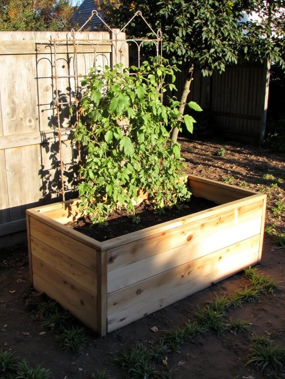 trellis for climbing plants