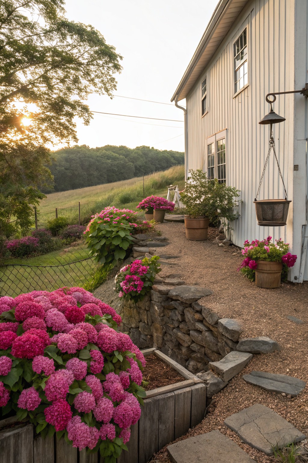 Gravel path alongside a dry-stacked stone retaining wall planted with large pink hydrangea bushes in wooden raised beds, leading to the side of a white clapboard house, with potted hydrangeas and a hanging planter nearby against a green hillside at sunset.