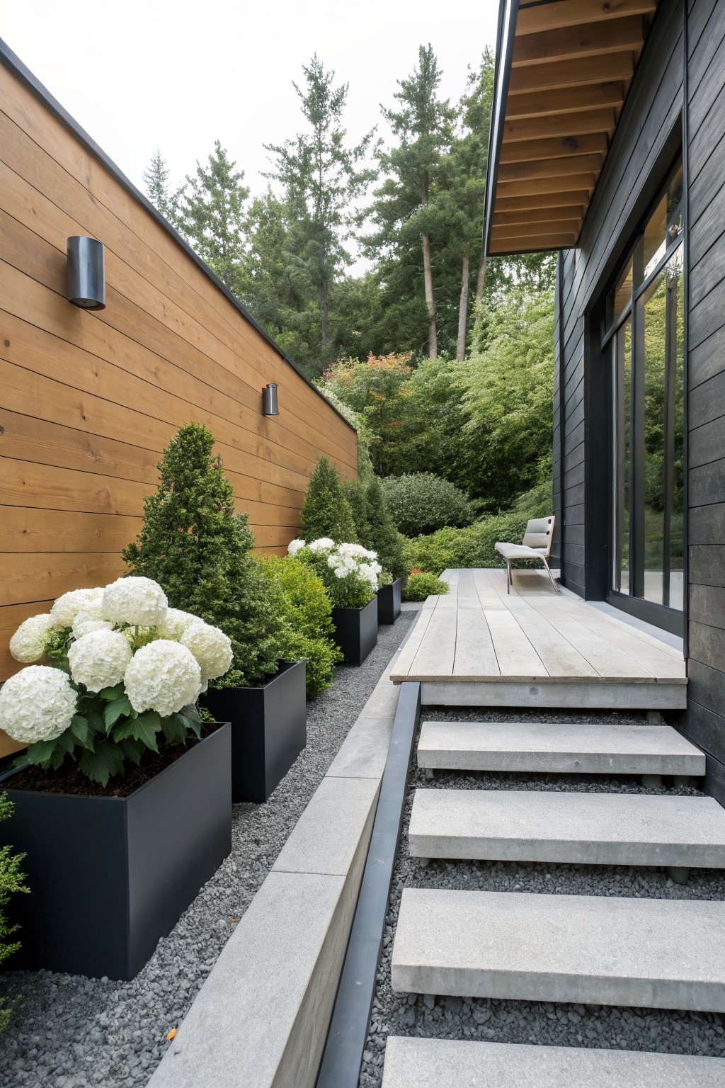 Gravel pathway lined with black square planters holding white hydrangeas and boxwood shrubs next to concrete steps leading to a wooden deck on a modern black-sided house with large glass doors and surrounding greenery.