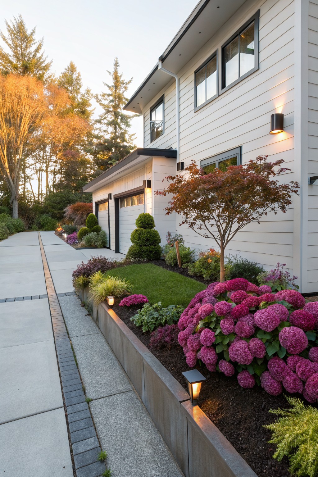 Modern white house with attached garage and concrete driveway, bordered by raised planting beds overflowing with large pink hydrangea clusters, accented by shrubs, grasses, and path lights at dusk.