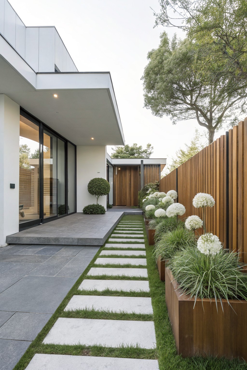 Modern white house with sliding glass doors and wooden entry, featuring a gray stone platform leading to a stepping stone path through grass strips flanked by wooden planters filled with white spherical flowers and ornamental grasses, beside a wooden slat fence and trees.