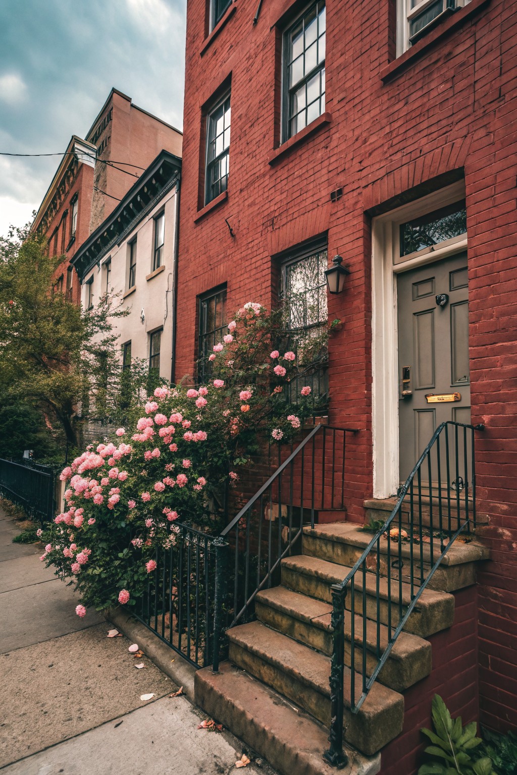Red brick rowhouse with gray front door, black wrought-iron stoop railings, and dense pink rose bushes growing against the foundation and along the steps.