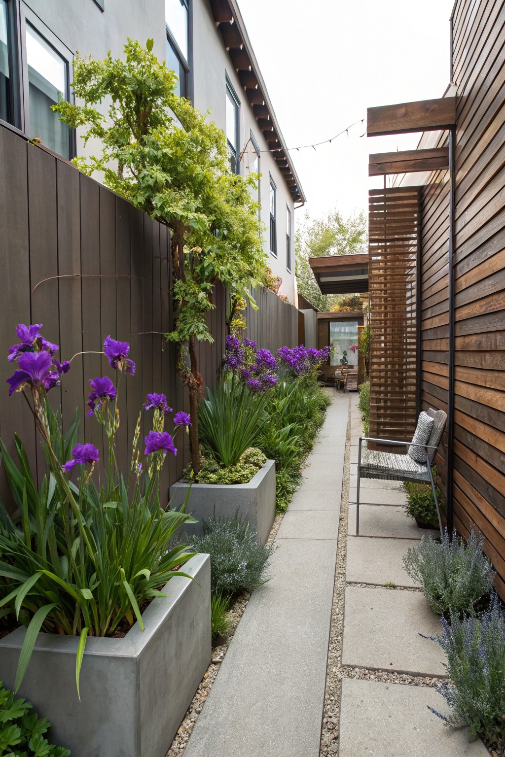 Narrow concrete pathway flanked by dark wood fences and screens, lined with tall purple iris flowers in large concrete planters and beds, with a metal chair near wooden architecture at the end.