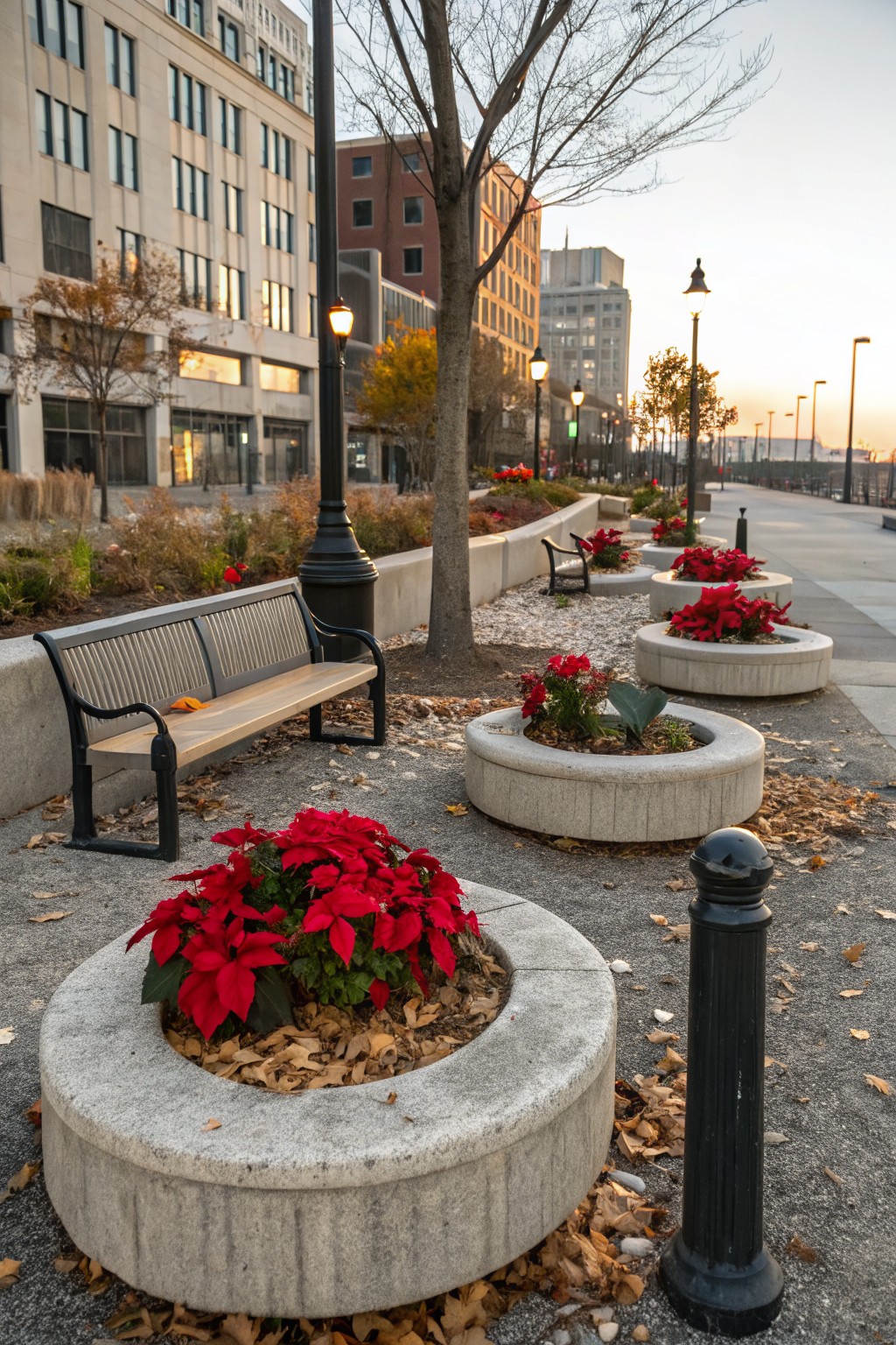 Urban walkway with large circular concrete planters filled with red poinsettias, wooden benches nearby, black lamp posts, fall leaves on the ground, and tall buildings in the background at dusk.