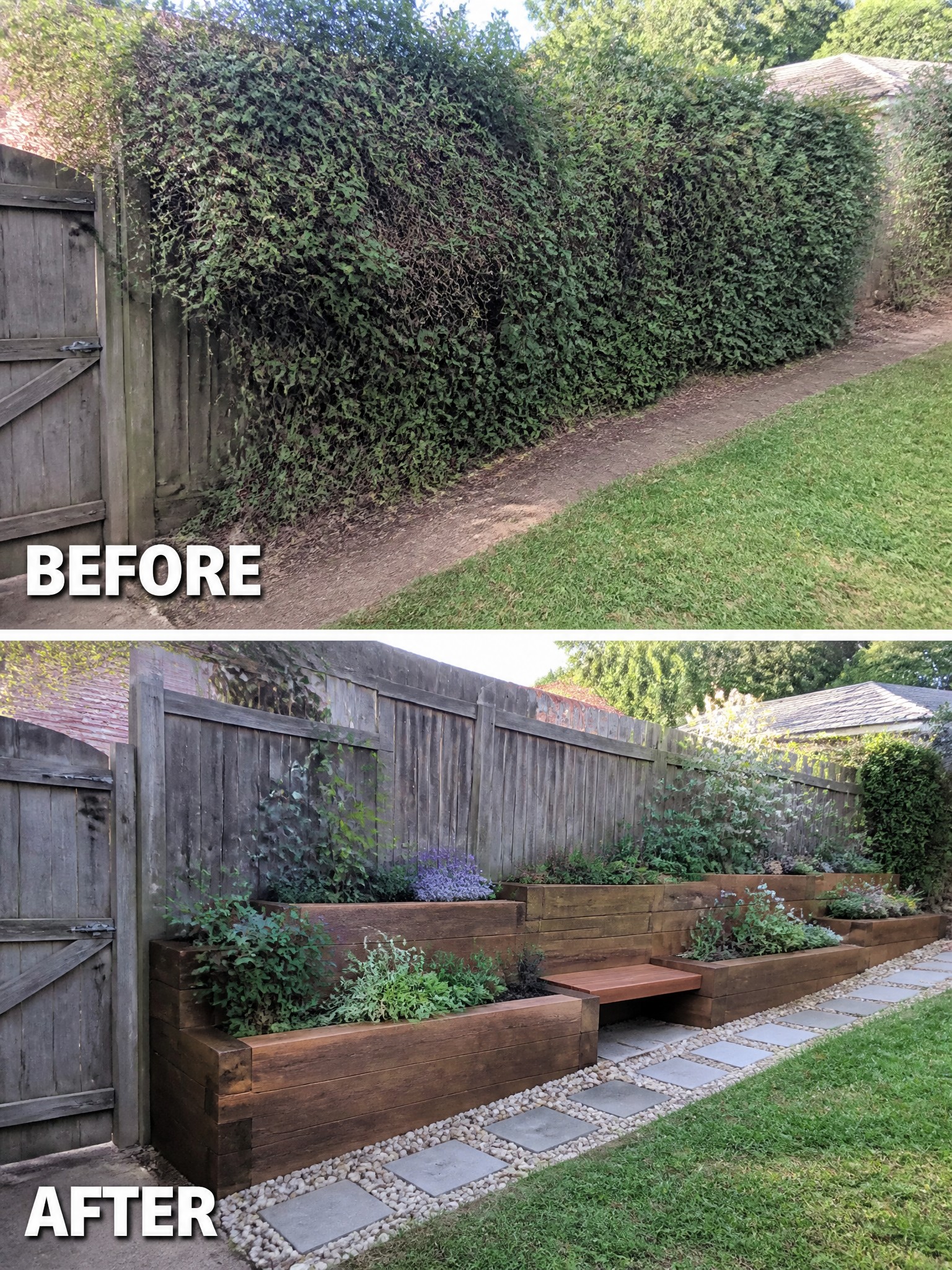 Overgrown hedge transformed into a landscaped garden with wooden planters and stepping stones.
