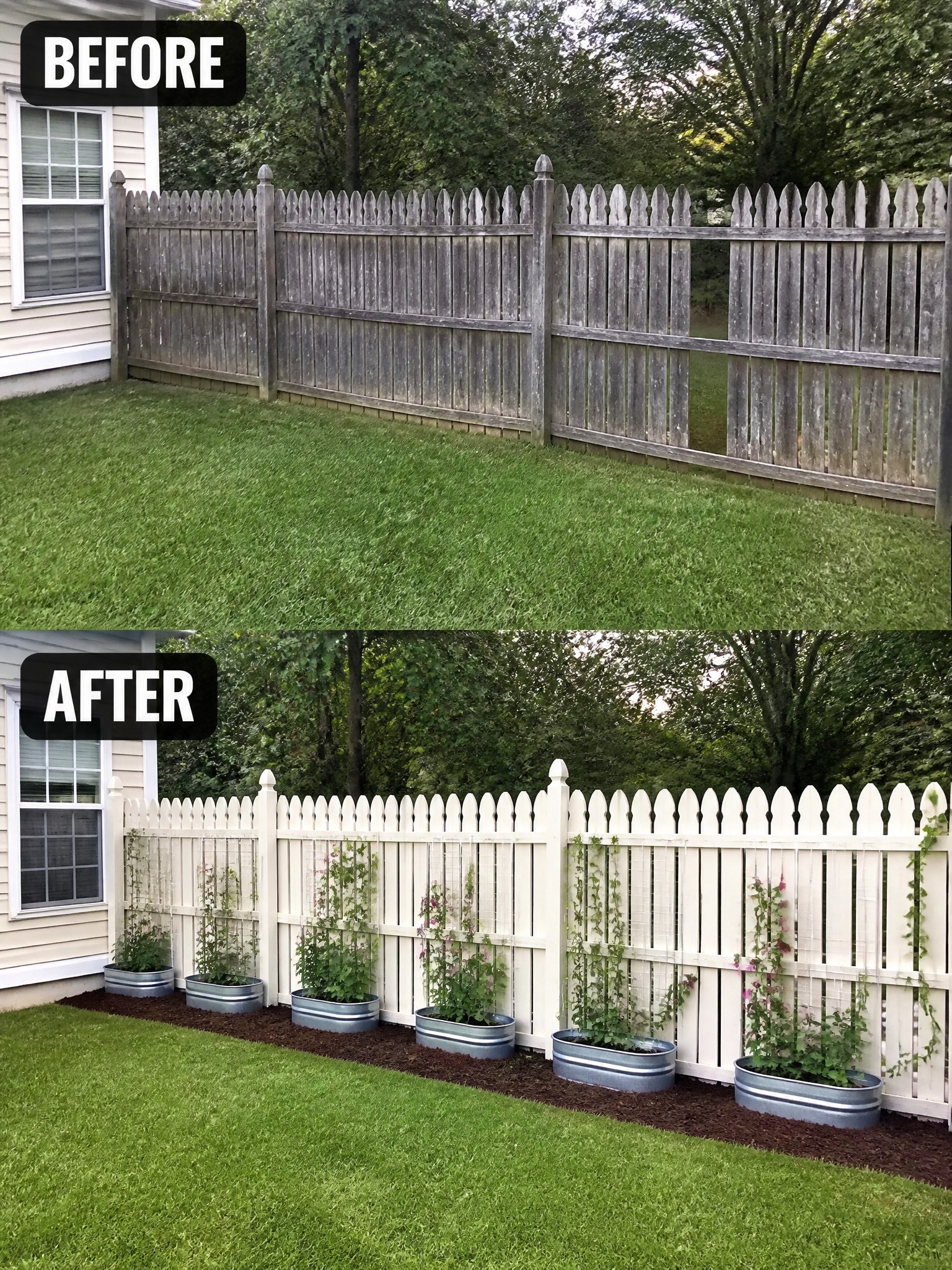 Before and after view of a wooden fence, newly painted white with planter boxes.