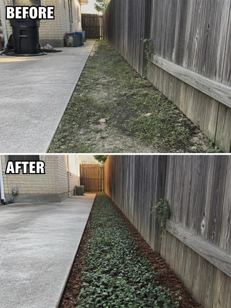 Before-and-after image of a weedy strip along a wooden fence changed into a clean mulched bed with ground cover plants.