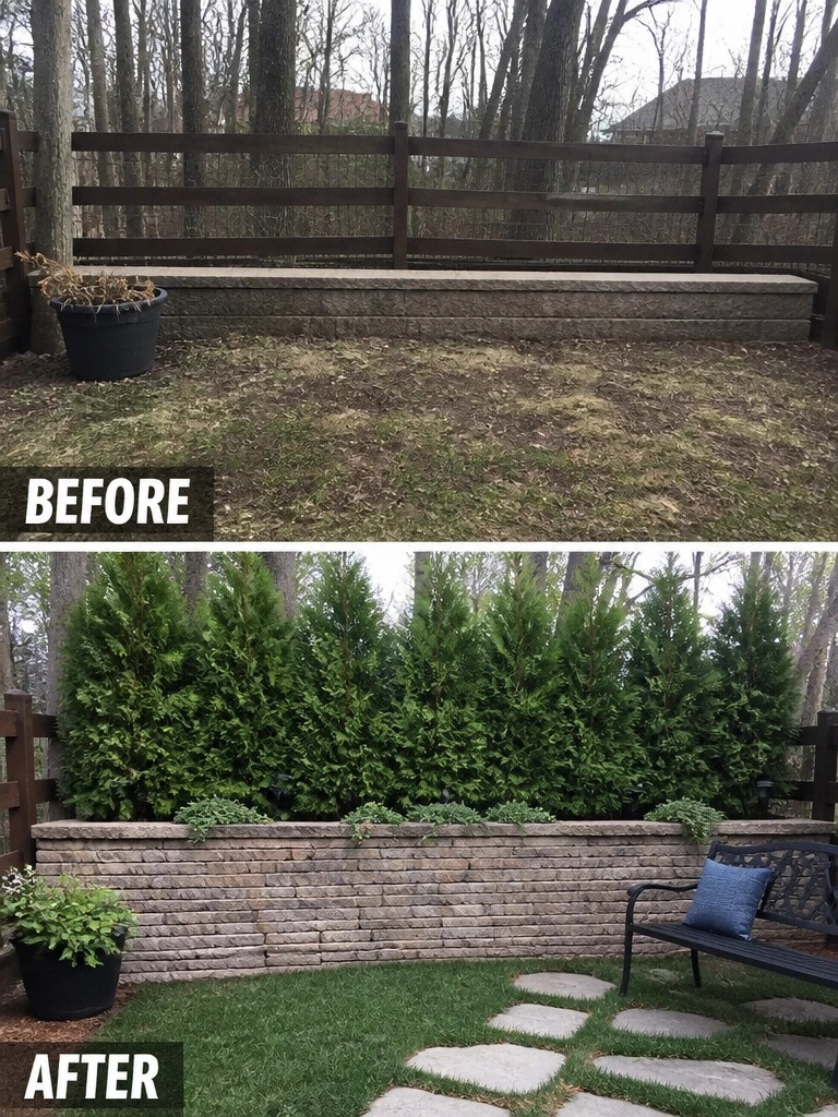 Before-and-after backyard with new shrubs, stone wall, bench and path