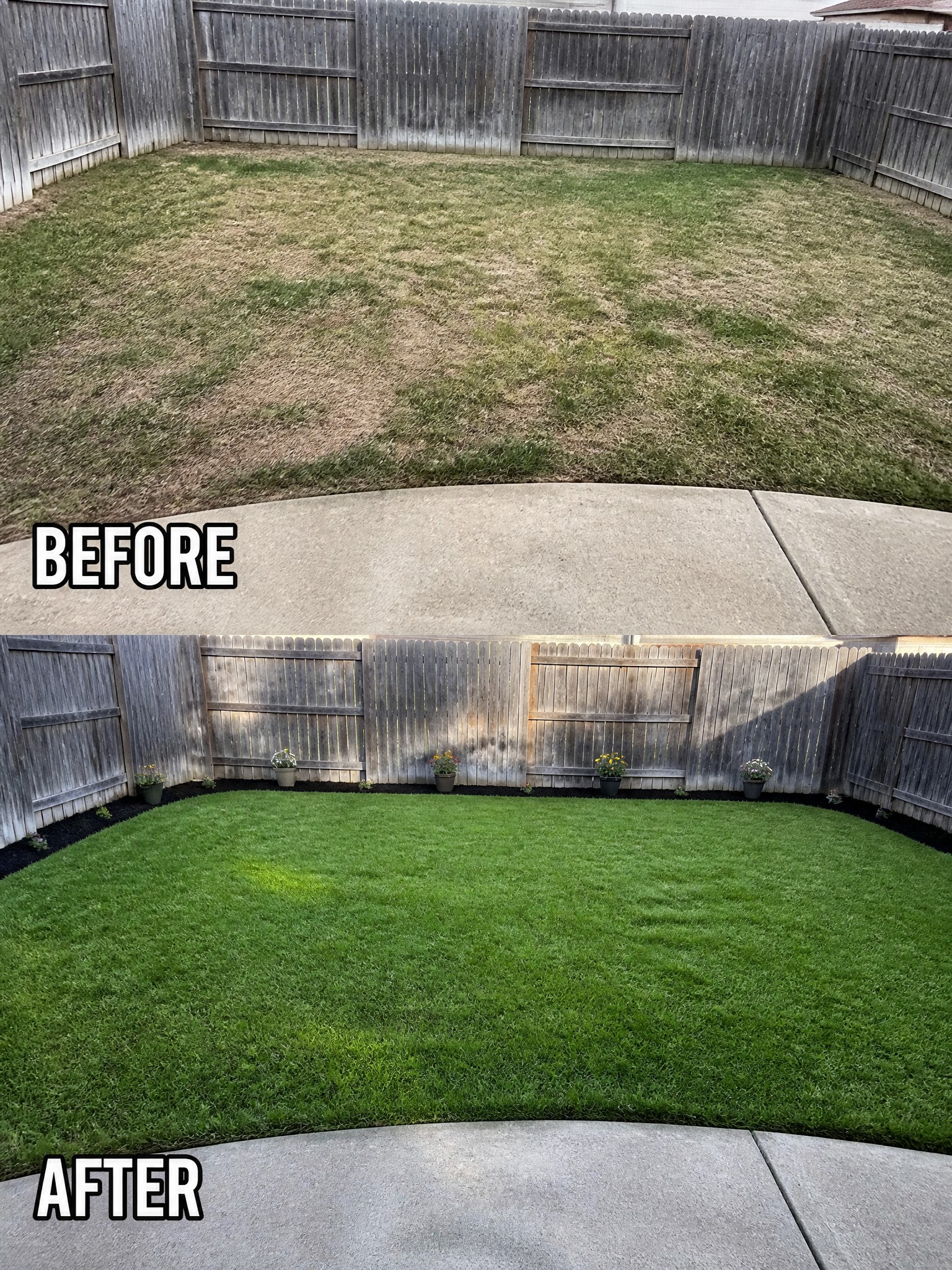A comparison of a yard before and after restoration, showing lush green grass.