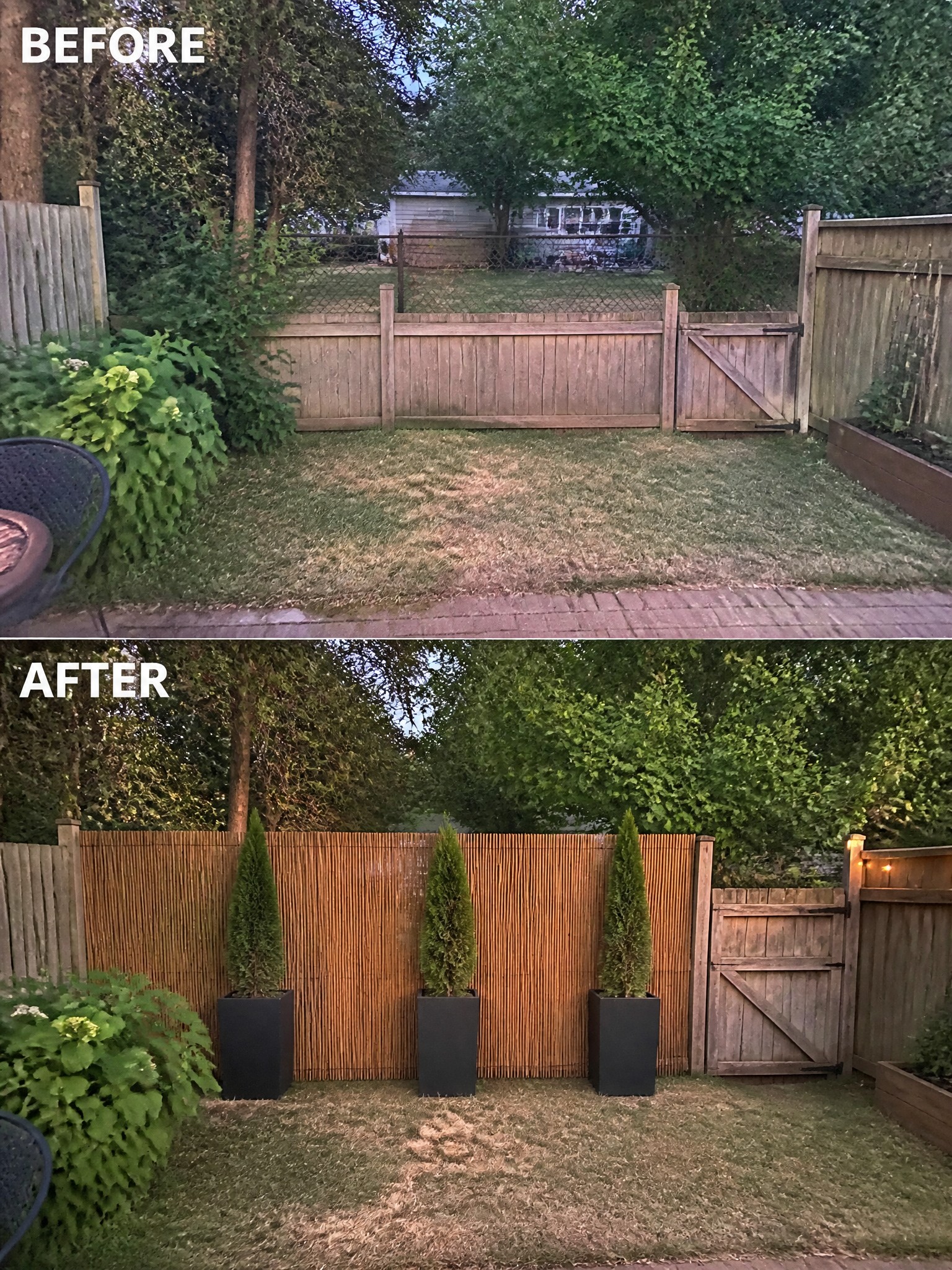 Before and after transformation of a backyard, featuring bamboo fencing and potted conifer trees.