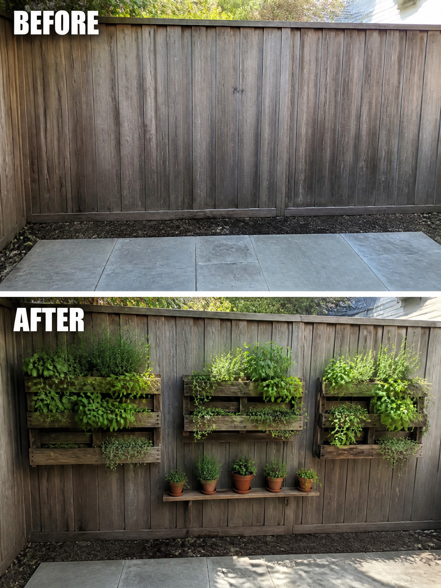 Before and after: a bare fence transformed with wooden planters and lush herbs.