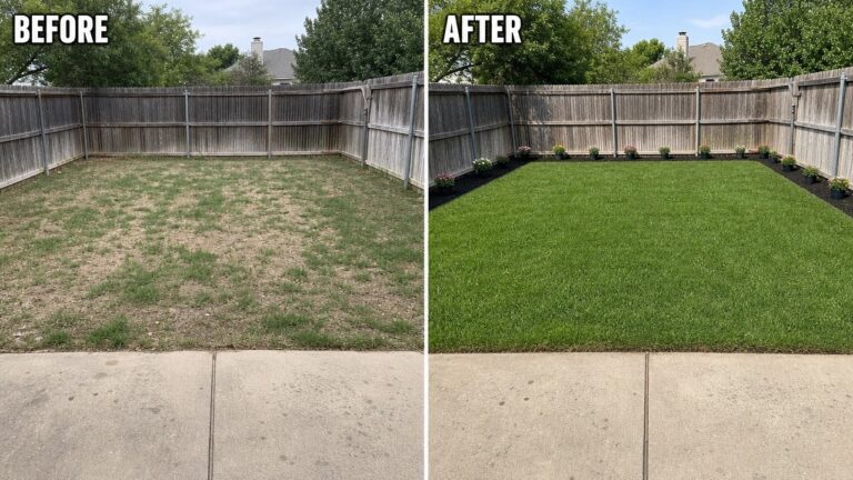 A comparison of a yard before and after restoration, showing lush green grass.