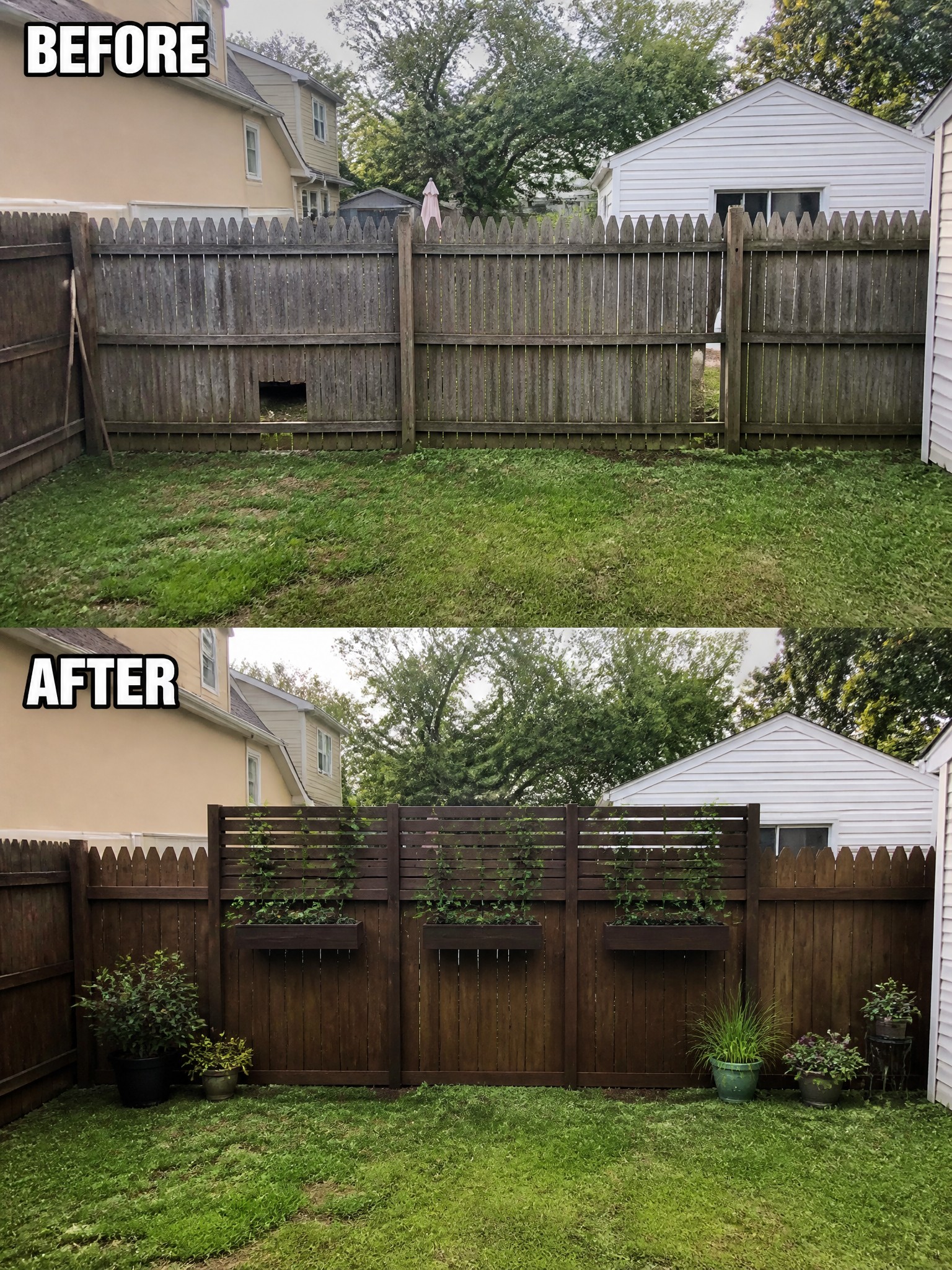 Before-and-after image of a backyard fence updated with a darker finish, horizontal slats, and three mounted planter boxes holding vines, plus added potted plants at the base.