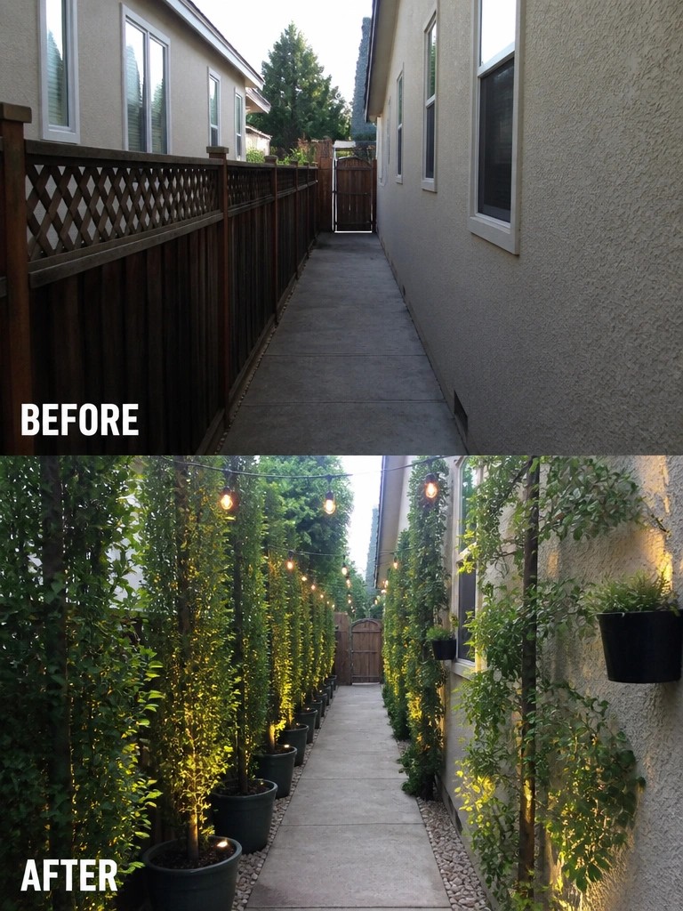 Before-and-after image of a narrow concrete walkway between houses changed with tall potted trees, climbing vines, and string lights for added privacy.