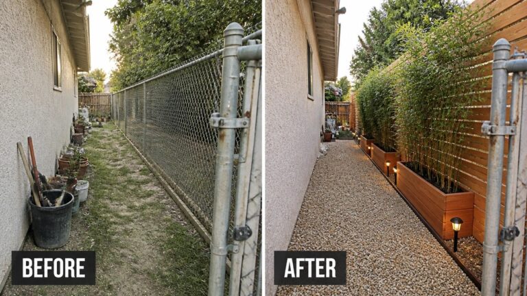 22 Beautiful Privacy Landscaping Before and After Ideas With Plants Before-and-after image of a side yard showing an open dirt area beside a chain link fence changed into a gravel path lined with raised wooden planters holding tall privacy plants.