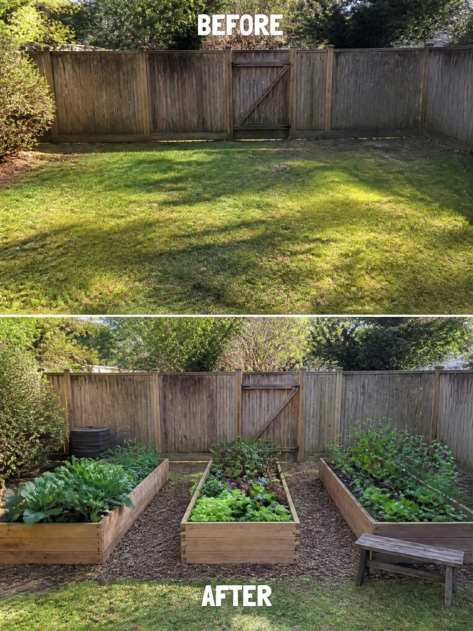 Two garden sections: one bare lawn and the other with lush vegetable beds.
