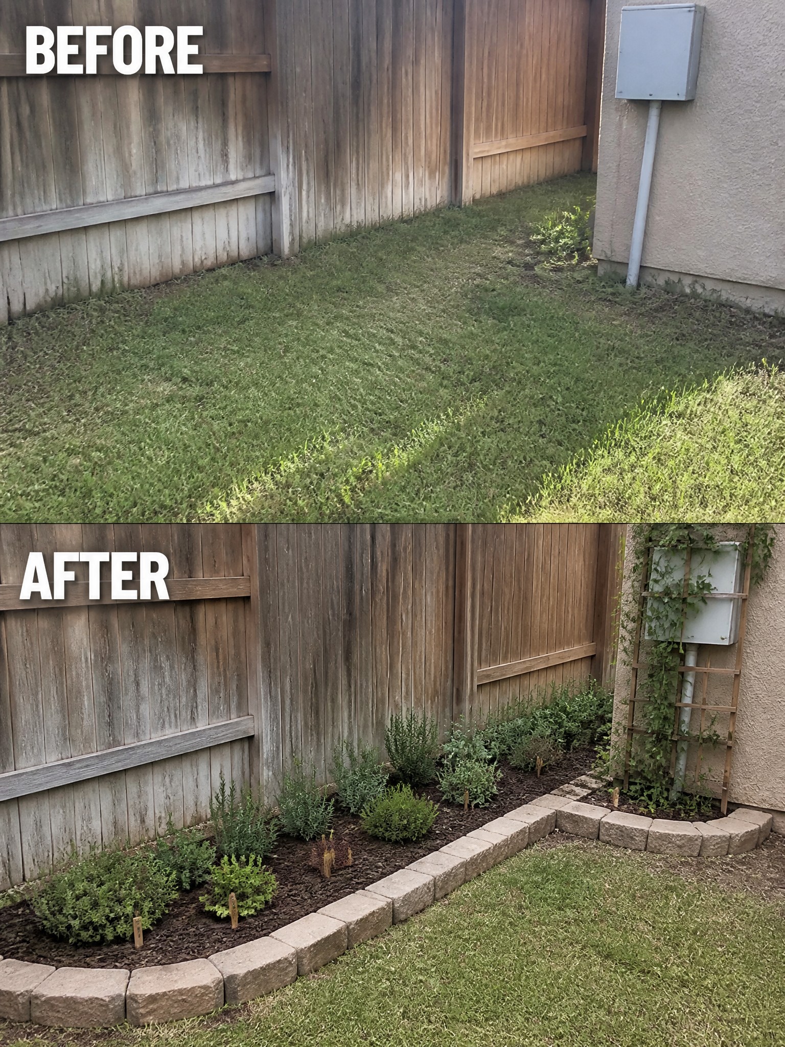 Before and after garden transformation with new plants and stone border.