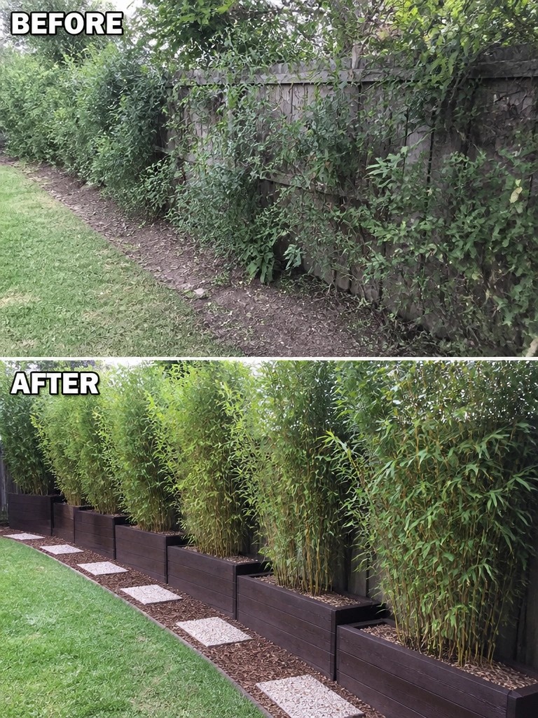 Overgrown vines along fence transformed into bamboo planters with stone path on mulch.