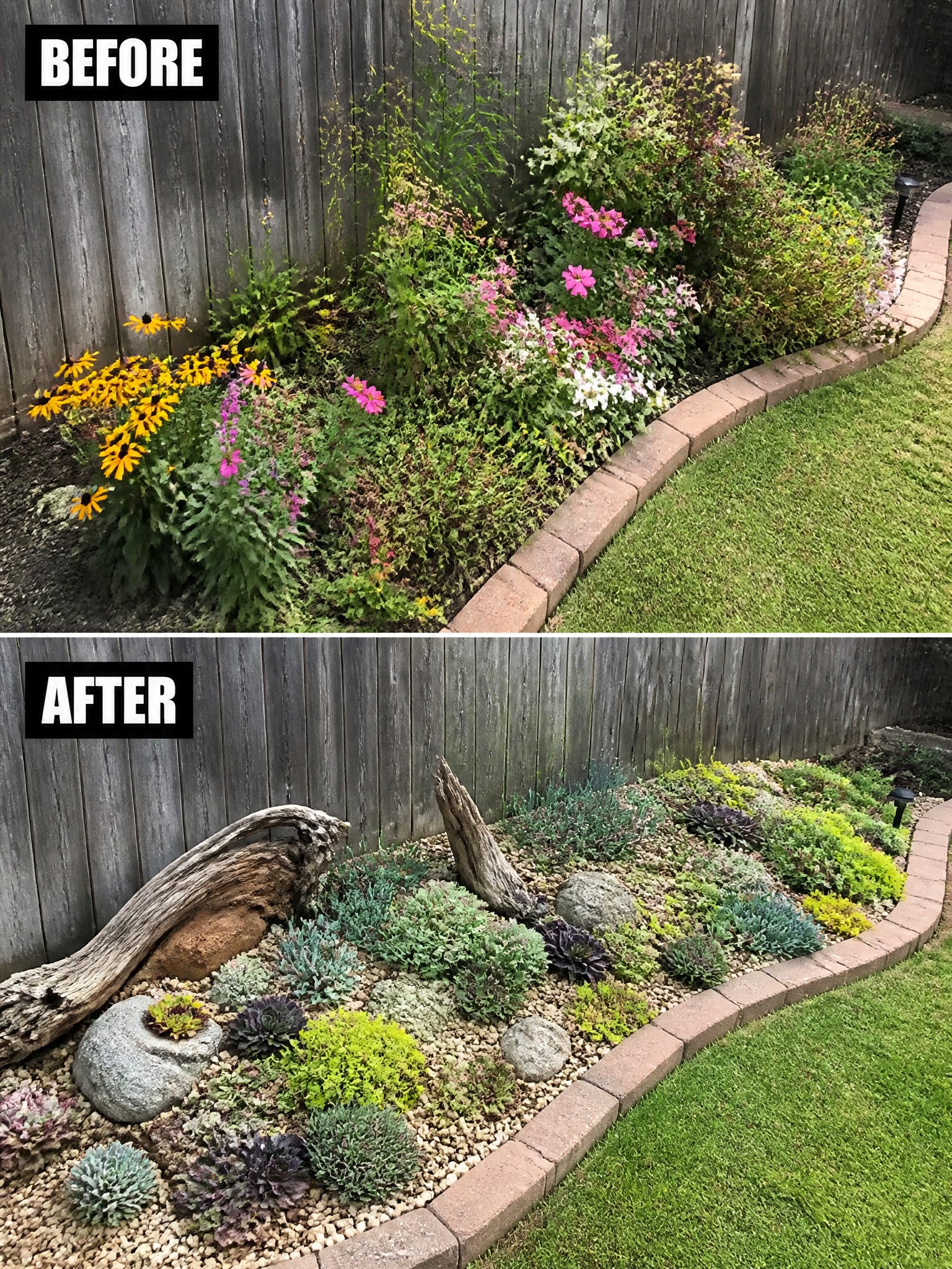 Before and after garden transformation featuring colorful flowers and succulents with decorative stones.