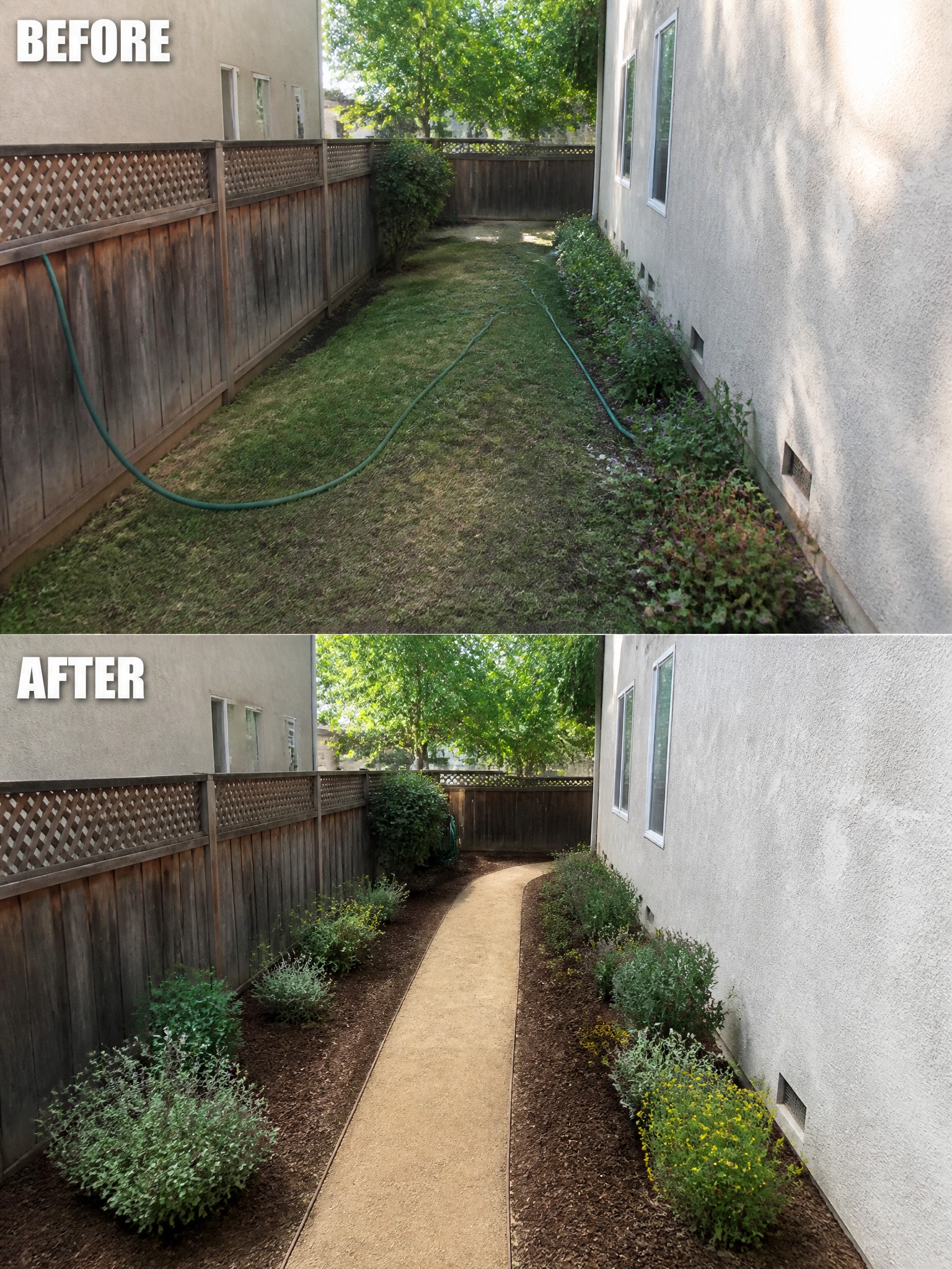 Before and after comparison of a landscaped walkway bordered by plants and mulch.