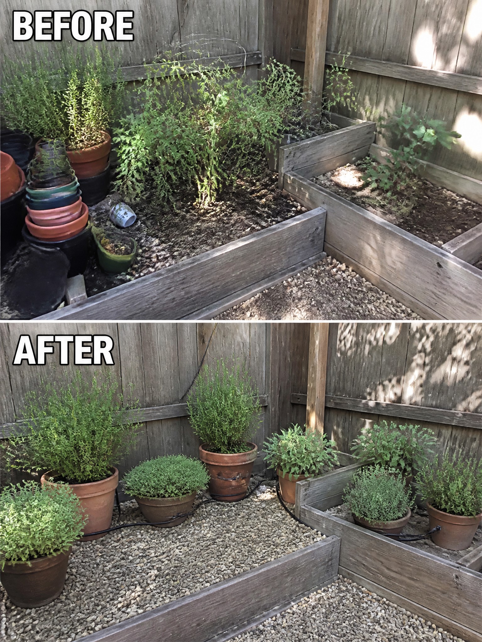 Before and after comparison of a garden, showing improved plant arrangement in pots.