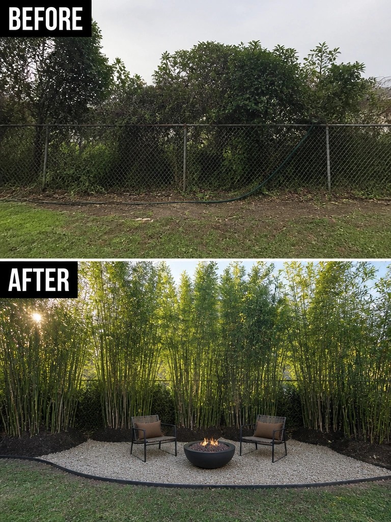 Before overgrown fence line, after bamboo garden with fire pit and chairs.