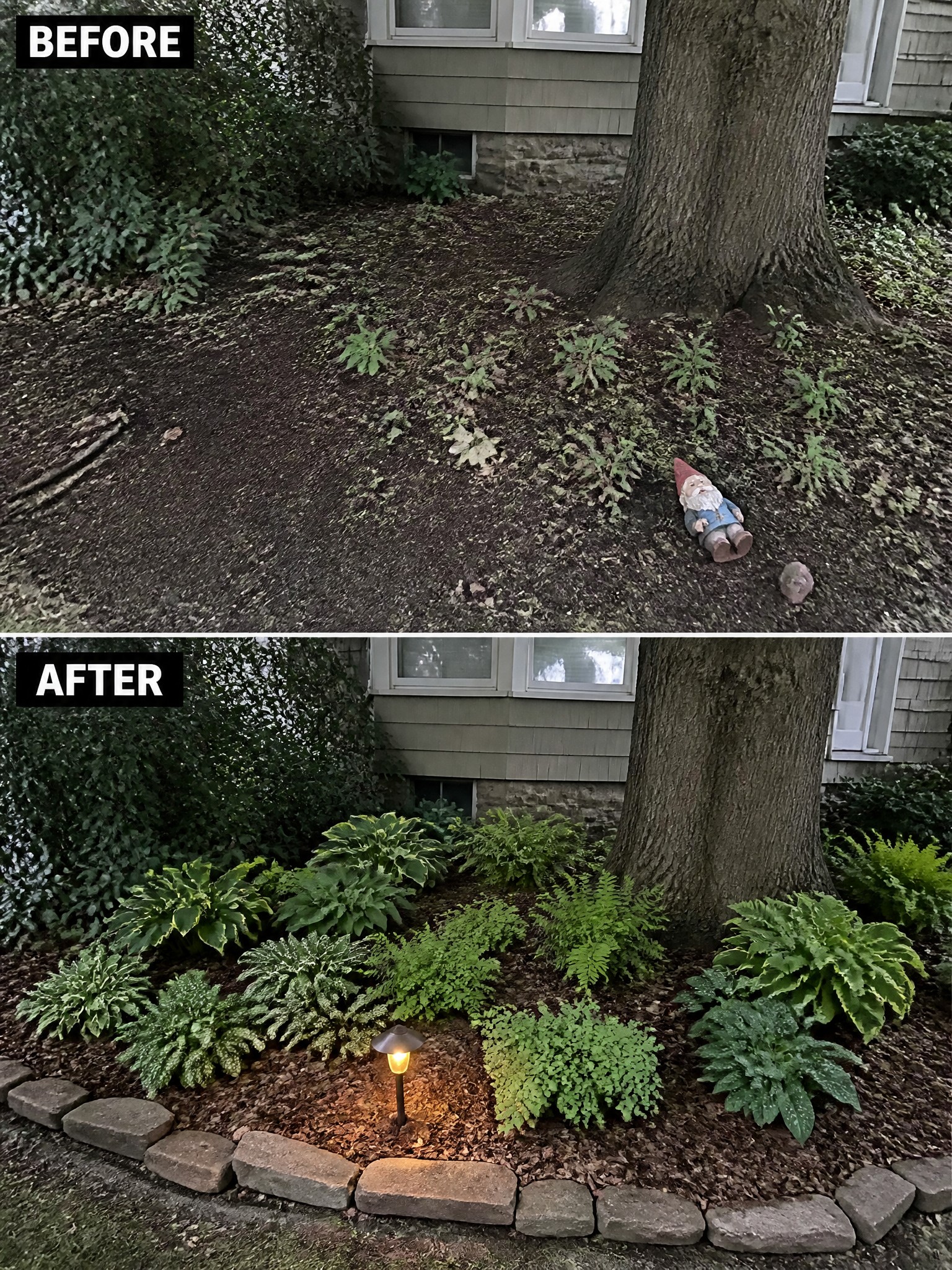 Before-and-after garden bed transformed from bare dirt to lush plants with stone border.