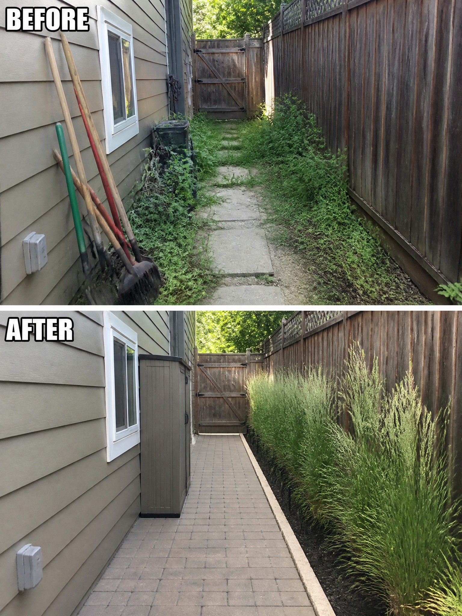 Before-and-after image of an overgrown side yard changed into a clean walkway with pavers, a storage shed, and a row of tall grasses planted along the fence.