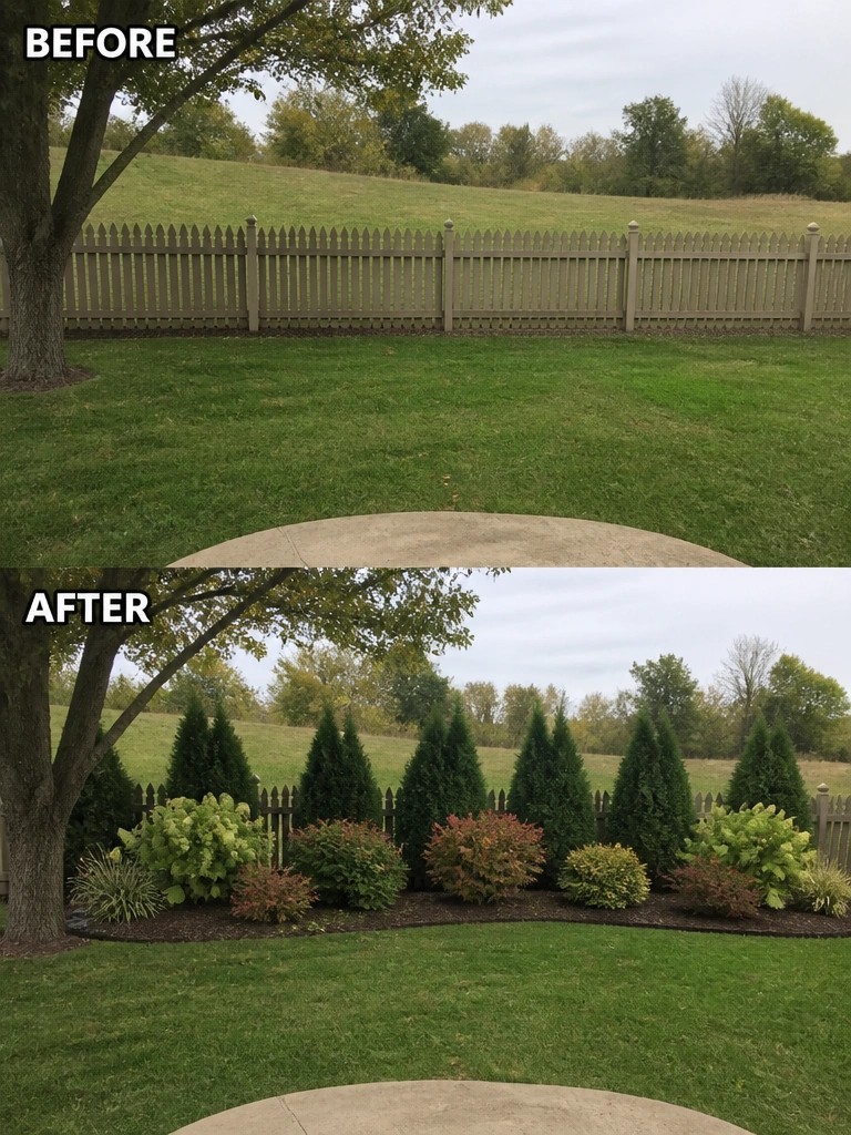 Before and after backyard fence with added shrubs, bushes, and evergreens
