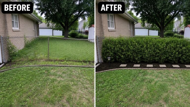 24 Low Maintenance Privacy Makeover Ideas With Simple Planting Before-and-after image of a backyard fence line changed from open grass to a planted border of rounded shrubs with mulch and stepping stones.
