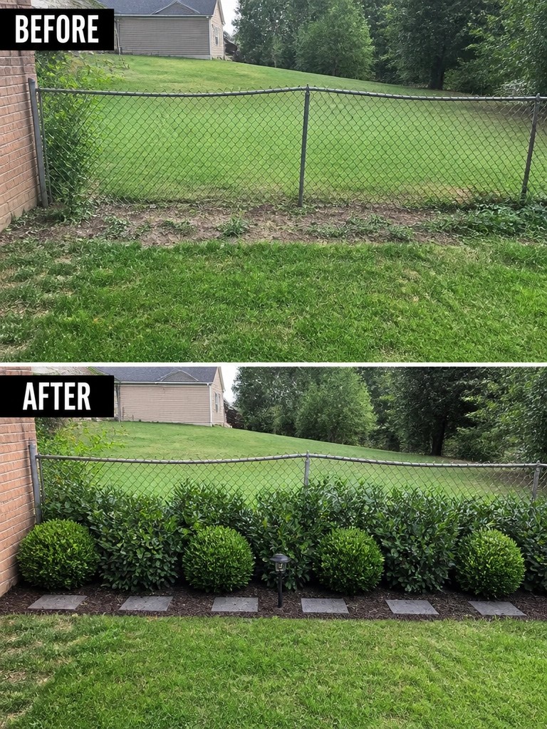 Before-and-after image of a backyard fence line changed from open grass to a planted border of rounded shrubs with mulch and stepping stones.