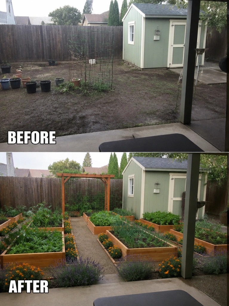Before-and-after image of a bare backyard transformed into an organized garden with multiple raised wooden beds, gravel paths, and structured planting areas.