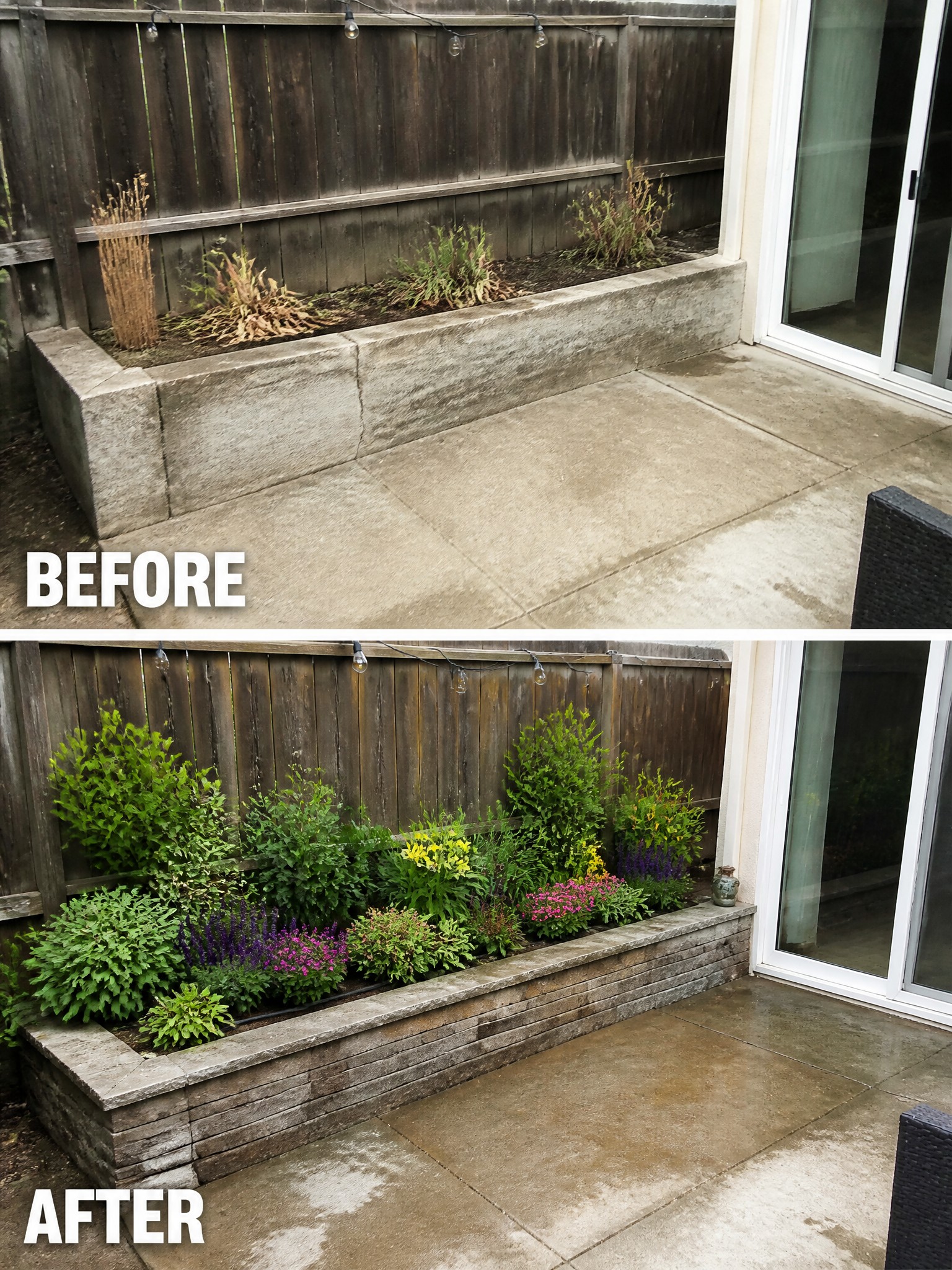 Before and after of a flower bed, from bare soil to lush greenery.
